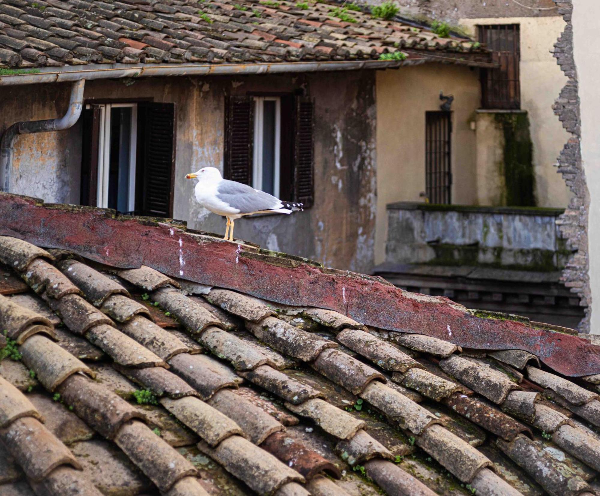 Casa De' Fiori Bed & Breakfast